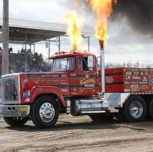 Meet your Posher, Dane